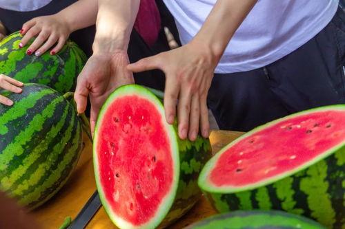集美大学许瑶琴视频吃瓜,揭秘高校生活趣味瞬间