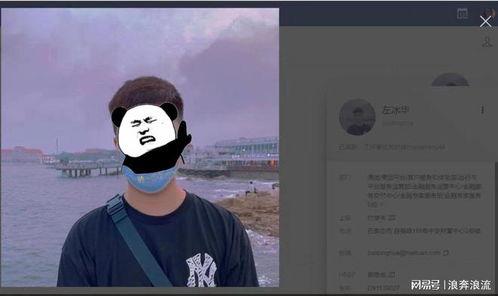 美团员工吃瓜视频大全播放,吃瓜视频大全播放背后的欢乐时光