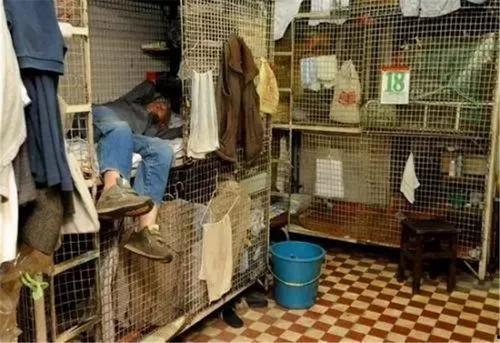 提笼子吃瓜视频,揭秘网络短视频背后的趣味与现象